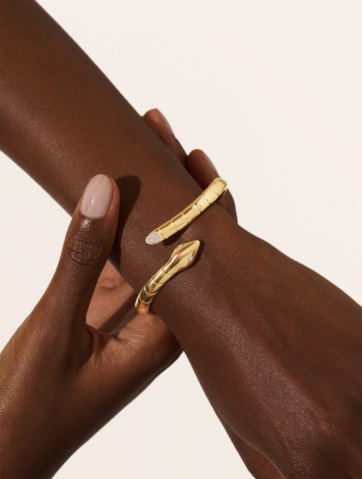 Jonc Règne animal - Serpent