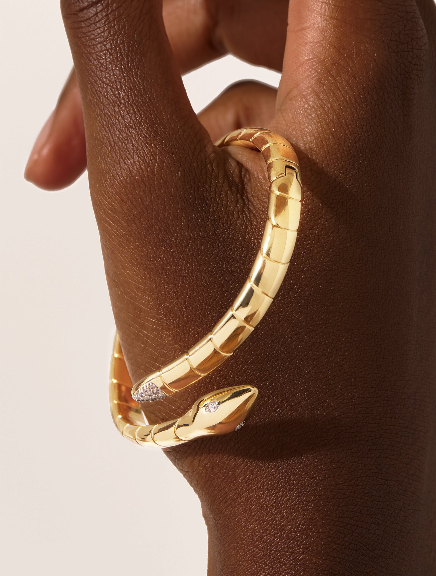 Jonc Règne animal - Serpent